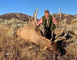 What Elk Hunting Outfitter Experts Want You to Know